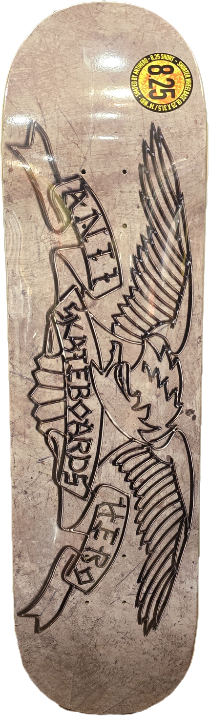 【ANTIHERO】 TREASURE ISLAND EAGLE 8.25